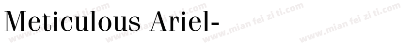 Meticulous Ariel字体转换